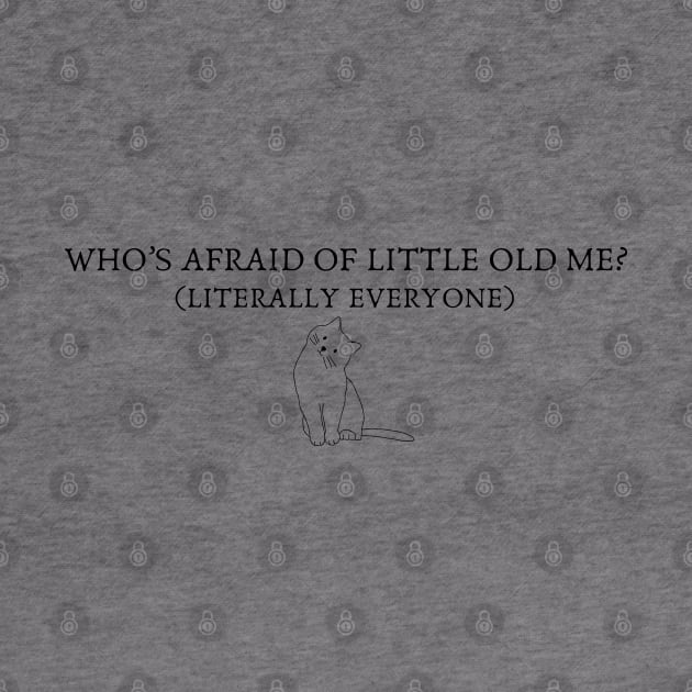 Who's Afraid Of Little Old Me TS The Tortured Poets Department by theKKstore